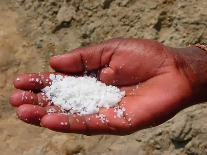 Hand spreading salt over the earth.